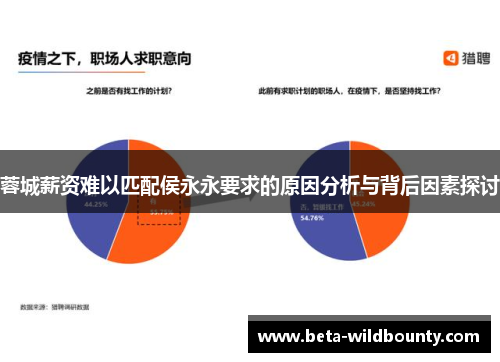 蓉城薪资难以匹配侯永永要求的原因分析与背后因素探讨