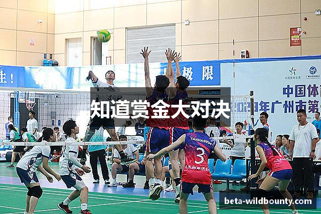 知道赏金大对决